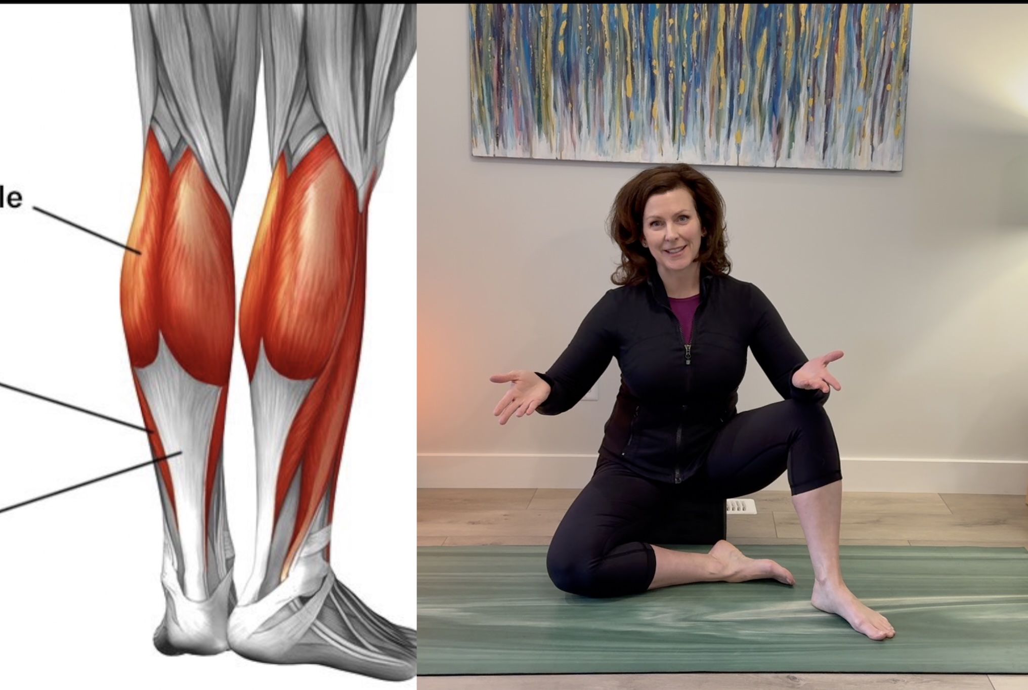 Module # 3: Calf Muscles