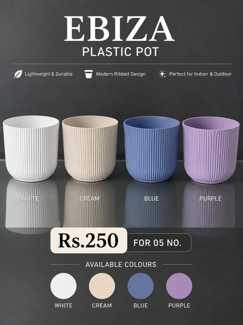 Ebiza Designer Pot – Small (Minimum order 5)