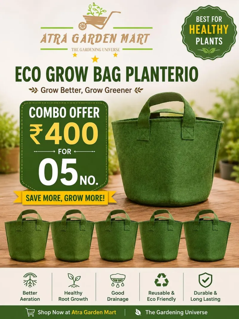 Eco Grow Bag – Green (with Handles) (Minimum order 5)