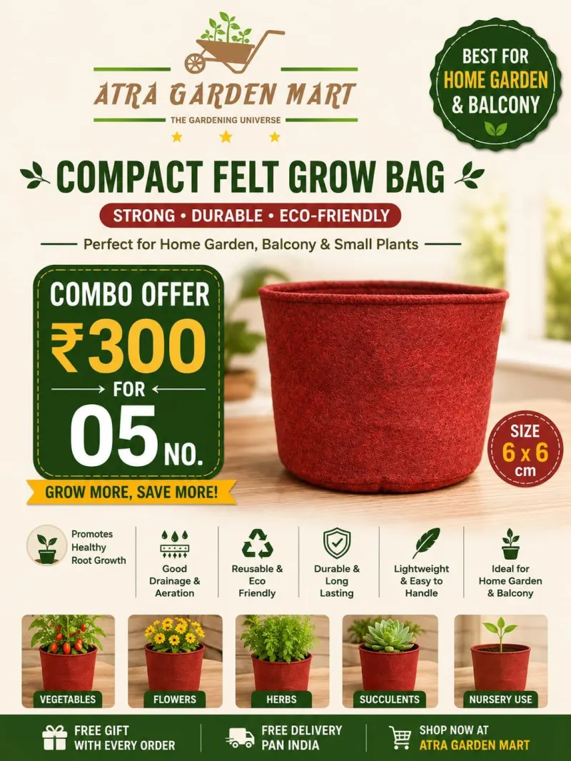 Compact Felt Grow Bag – Red (6×6 inch) (Minimum order 5)