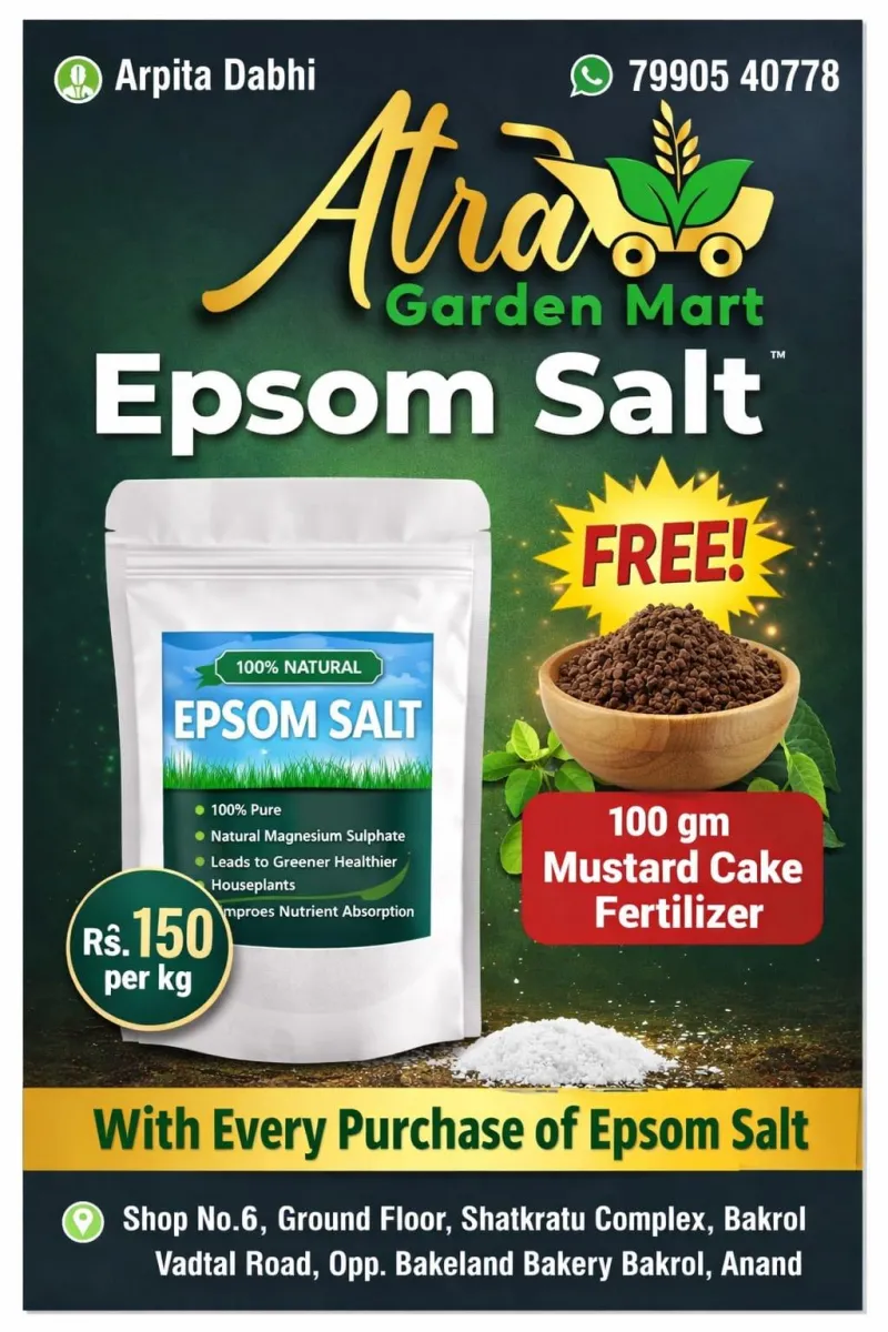 Premium Epsom Salt with Free 100g Mustard Cake
