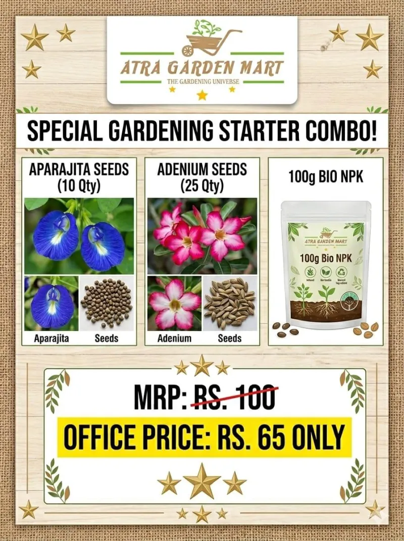 Special Gardening Starter Combo 