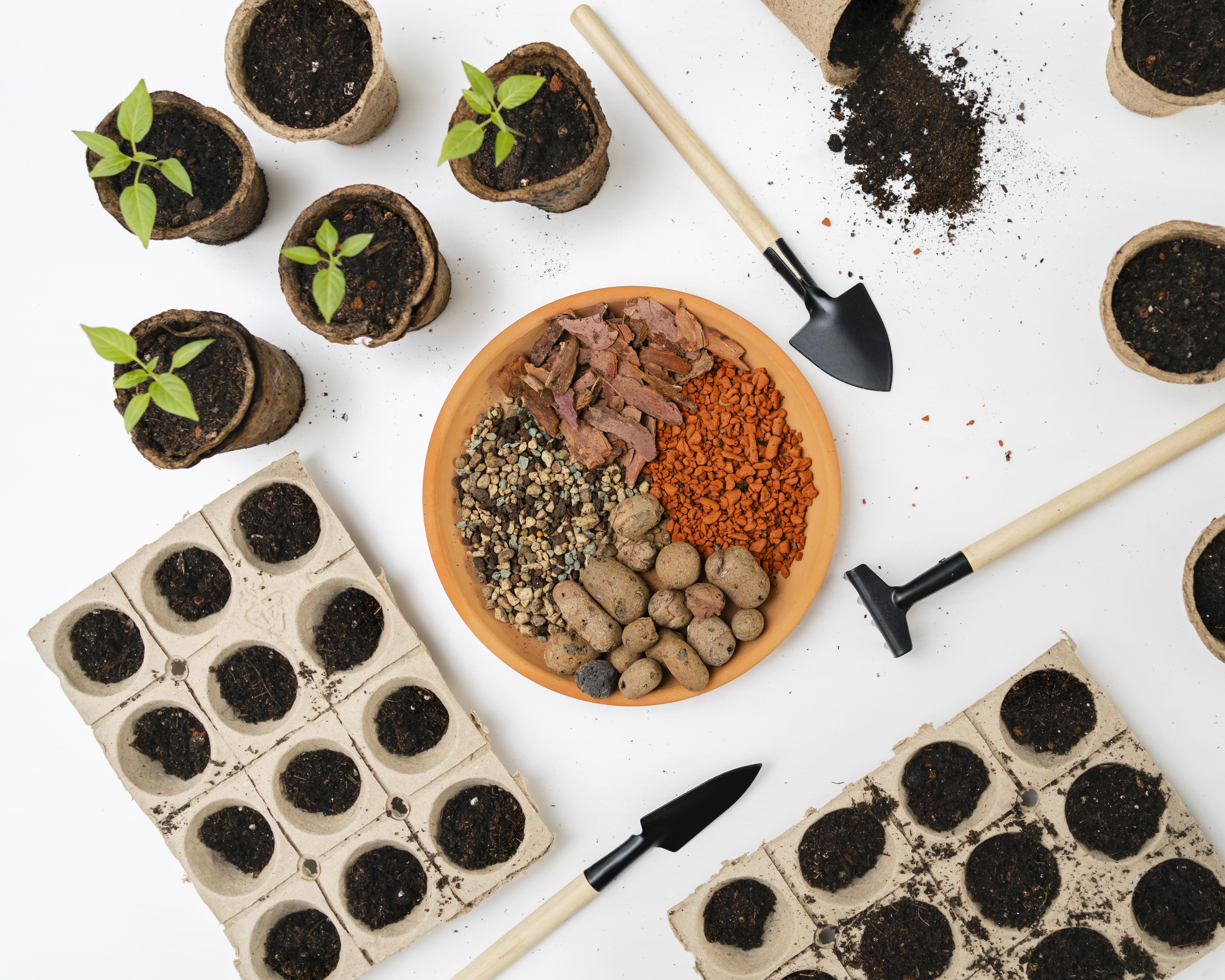 Gardening Seeds