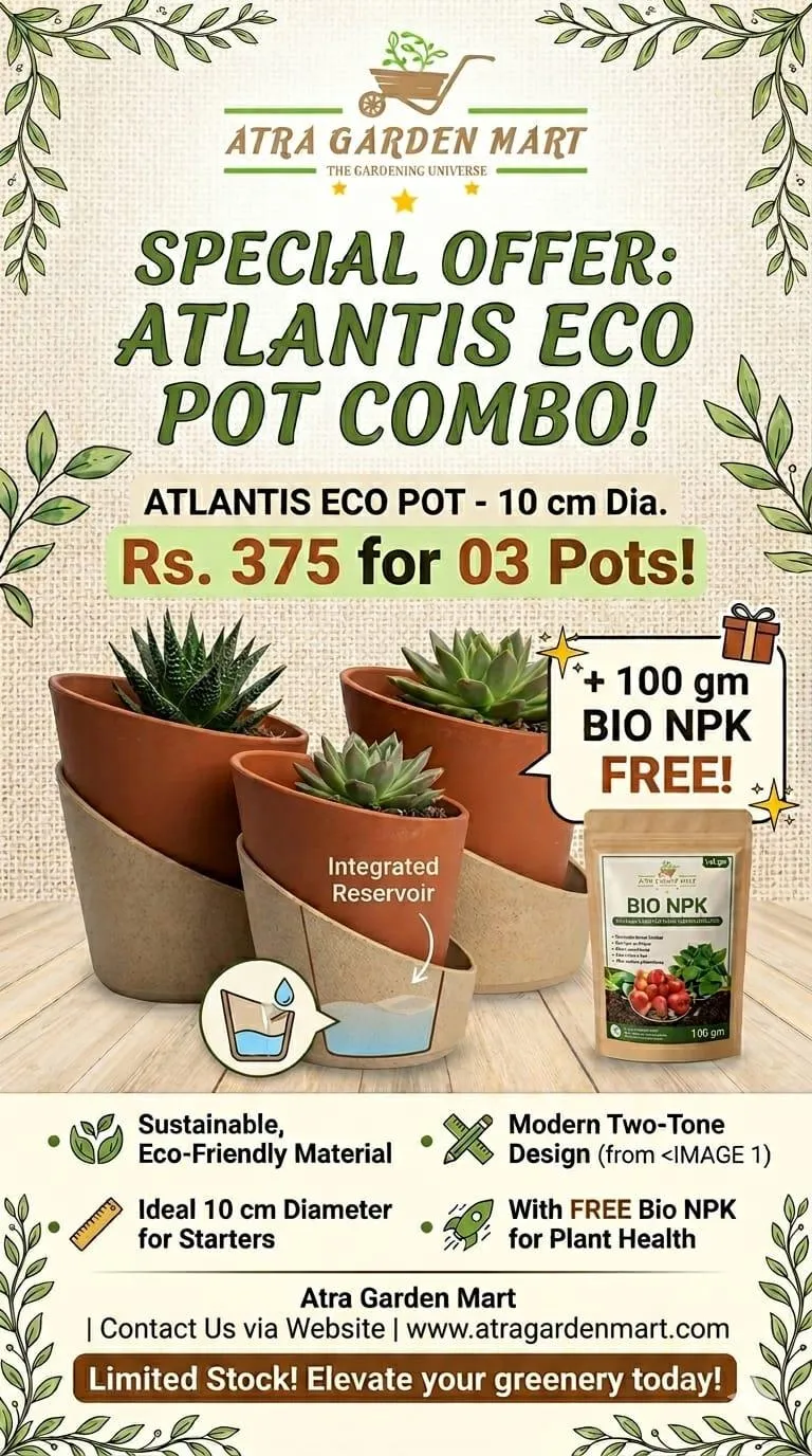 Atlantis Eco Pot Combo (10 cm) with a FREE GIFT 100 gm Bio-NPK 