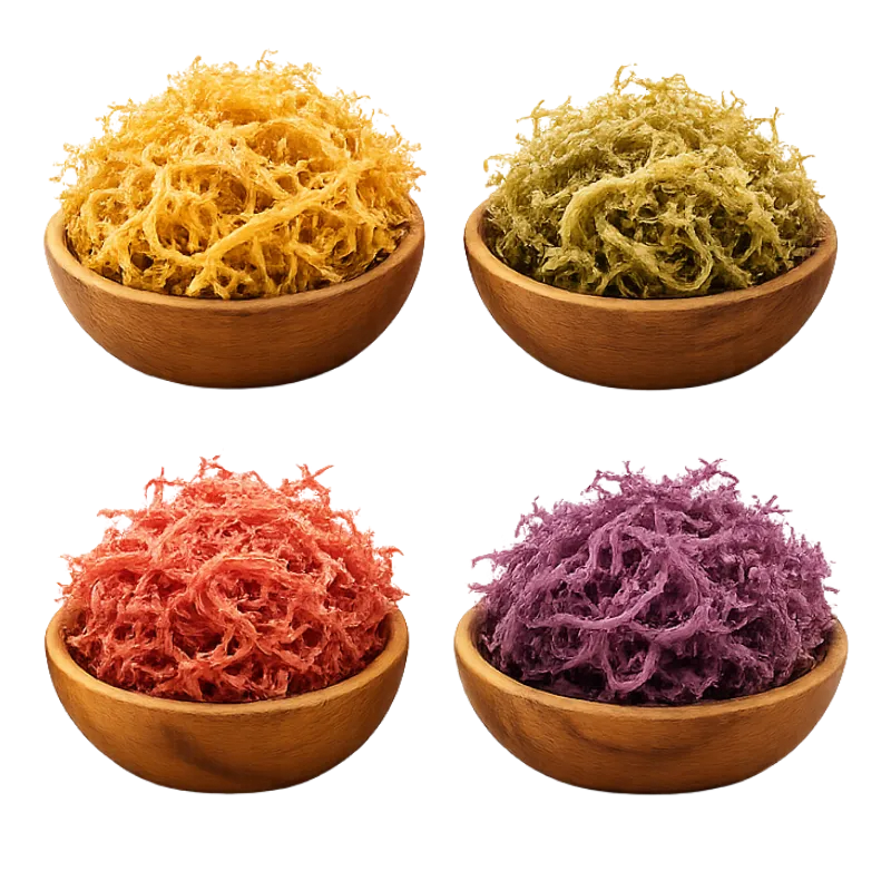 92 Essentials Wildcrafted Sea Moss