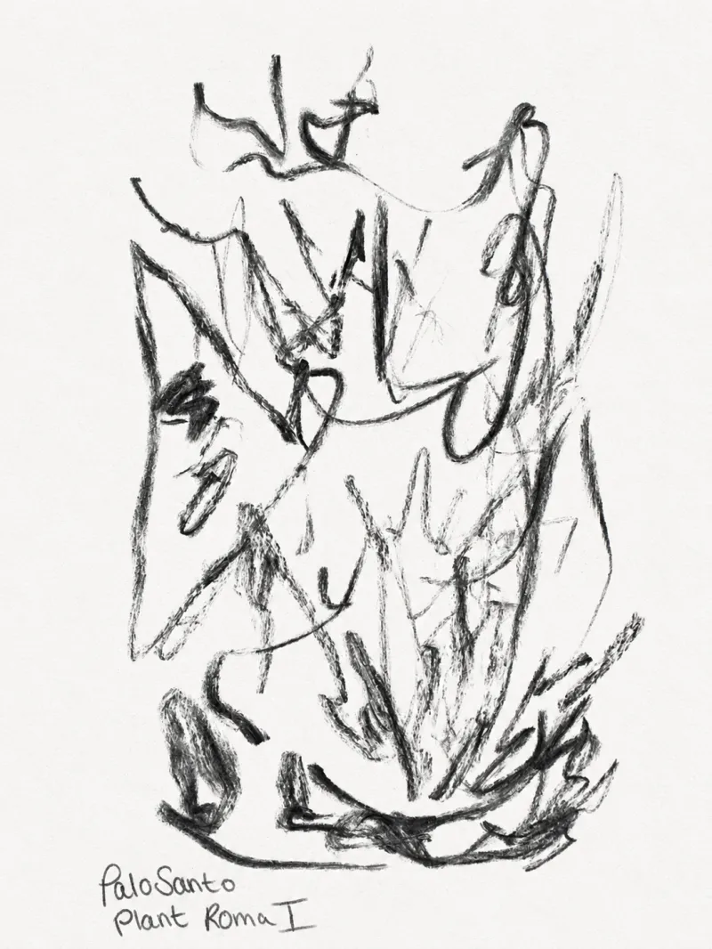 Palo Santo I