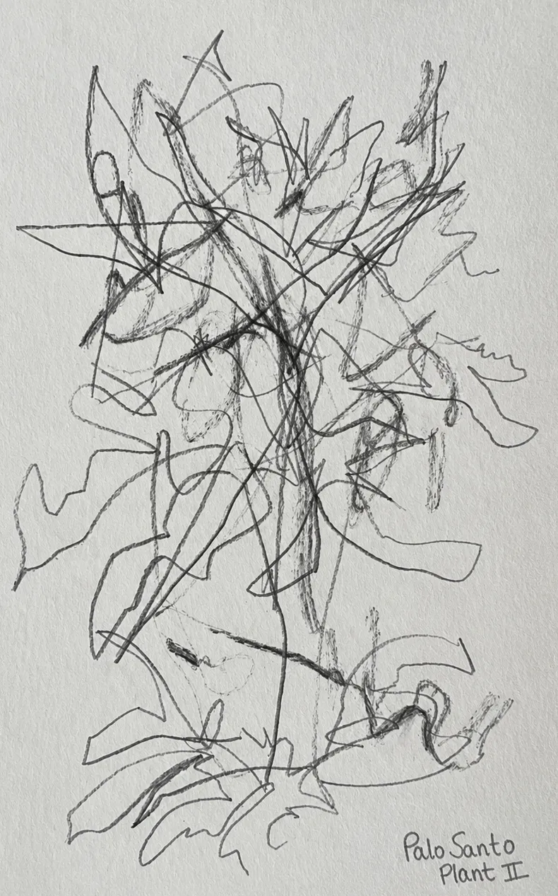 Palo Santo II