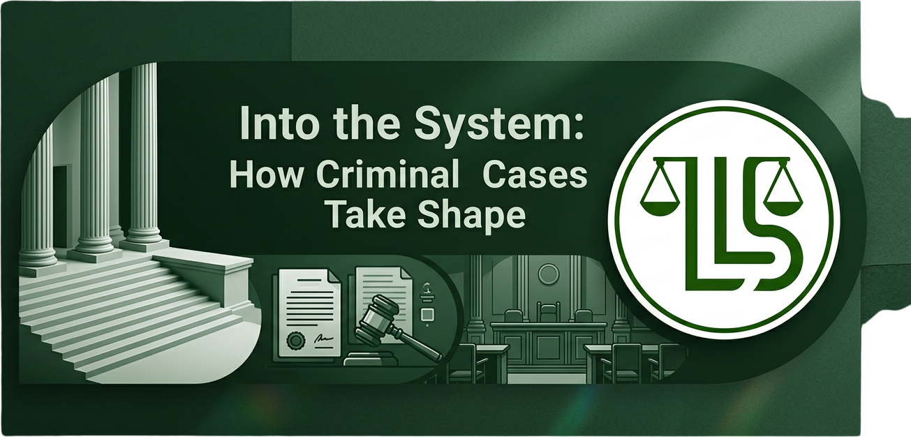 Into the System: How Criminal Cases Take Shape