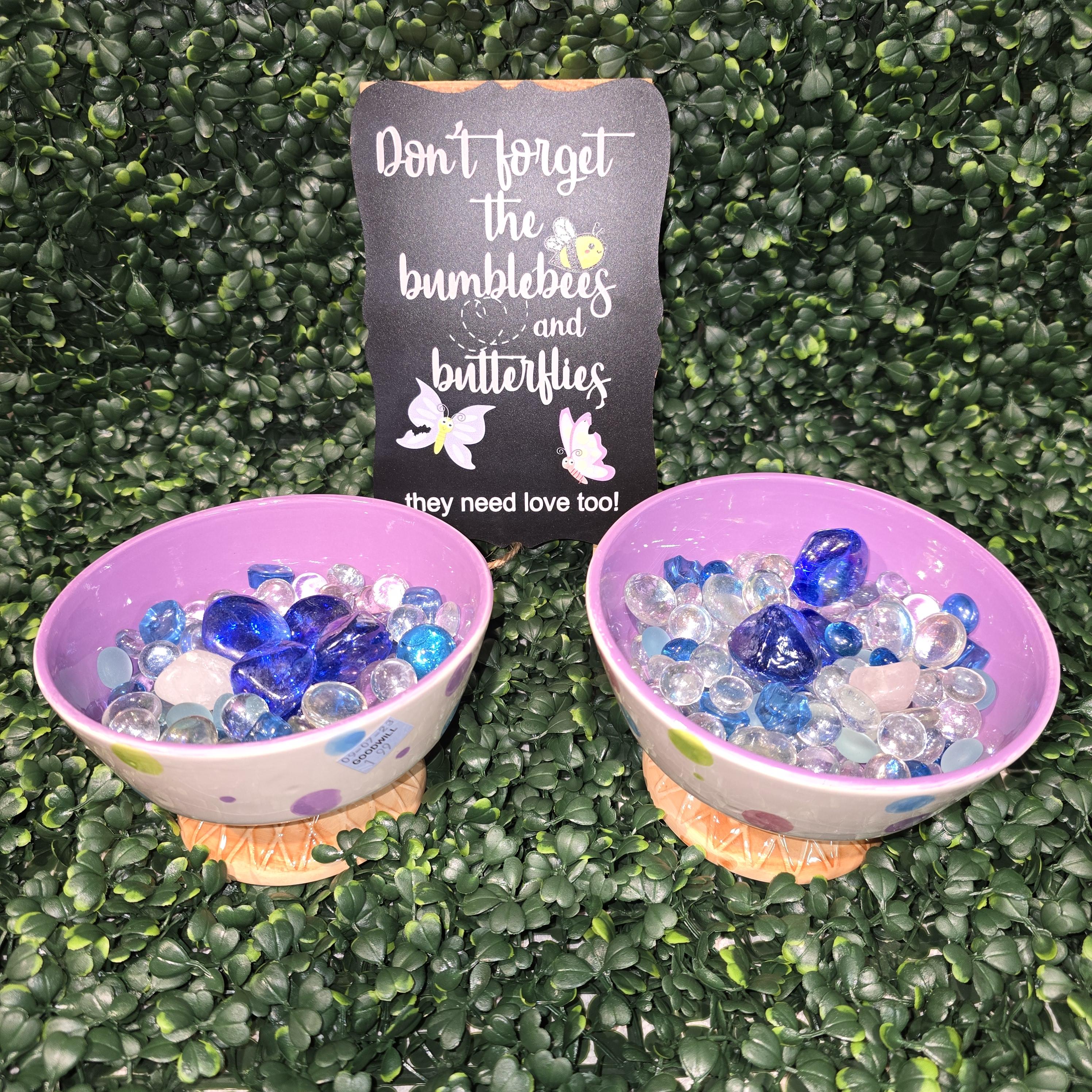 Nature's Sip™ Pollinator Water Bowl Set – Colorful Ice Cream Bowl Pair