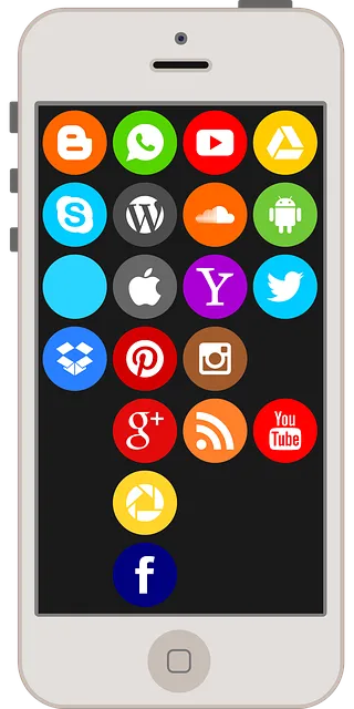 TV or  Radio App - Roku
