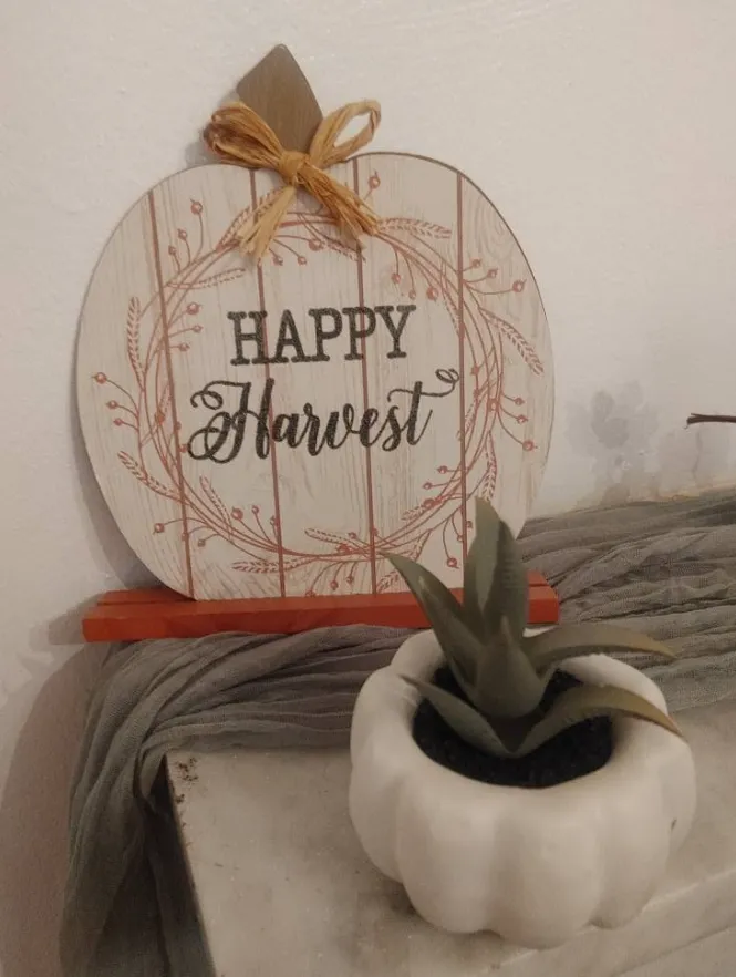 Friendsgiving – Setup Volunteer