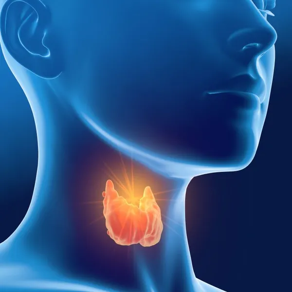 Thyroid Only Panel