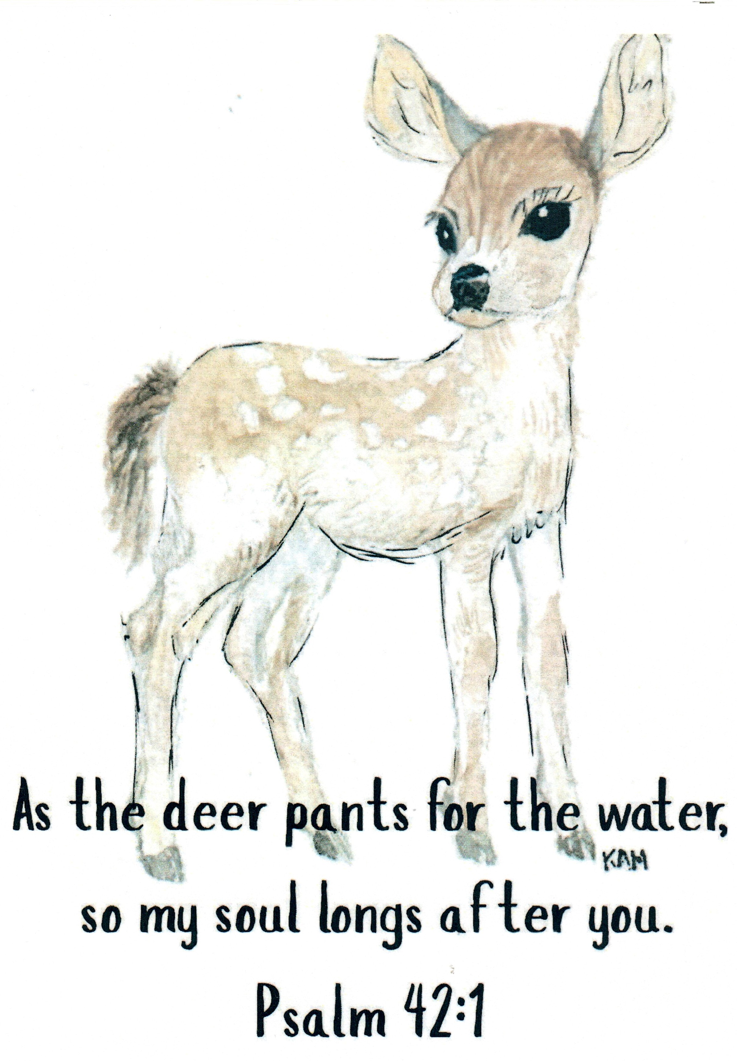 baby deer-034a