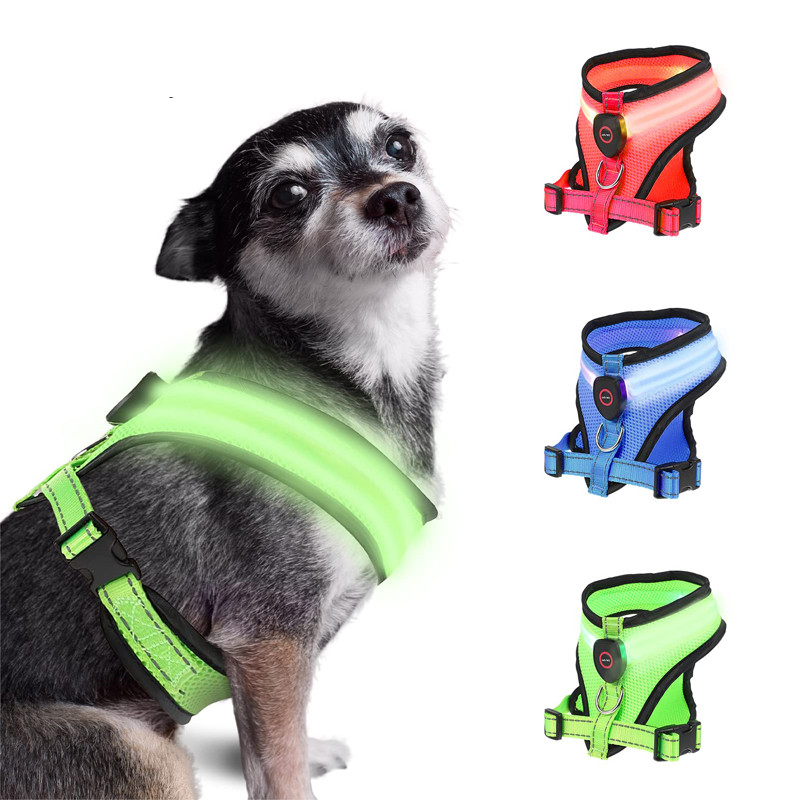 Dog Harnesses & Wearables