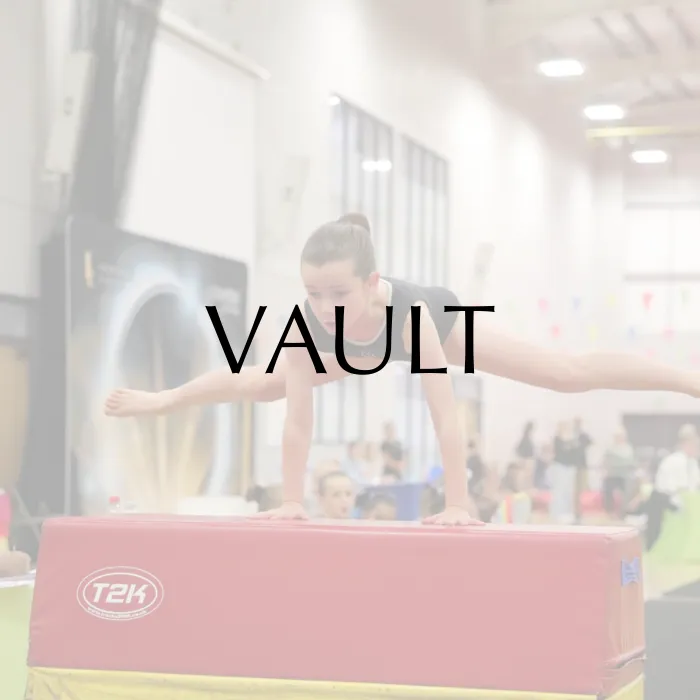 Vault Badges