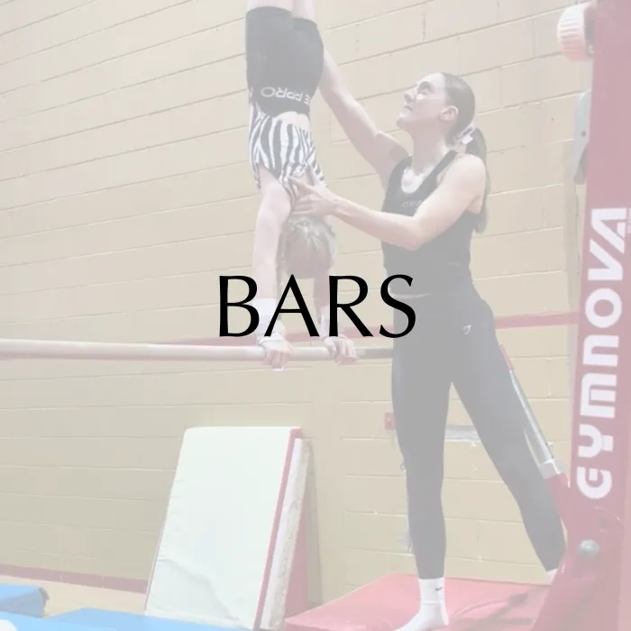 Bars Badges