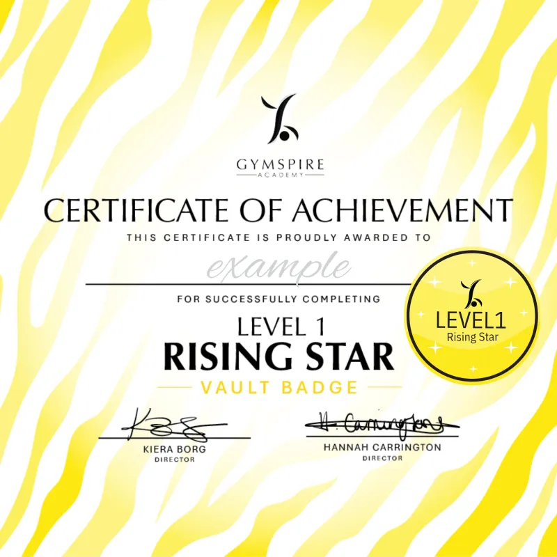 Level 1 - Rising Star - Vault