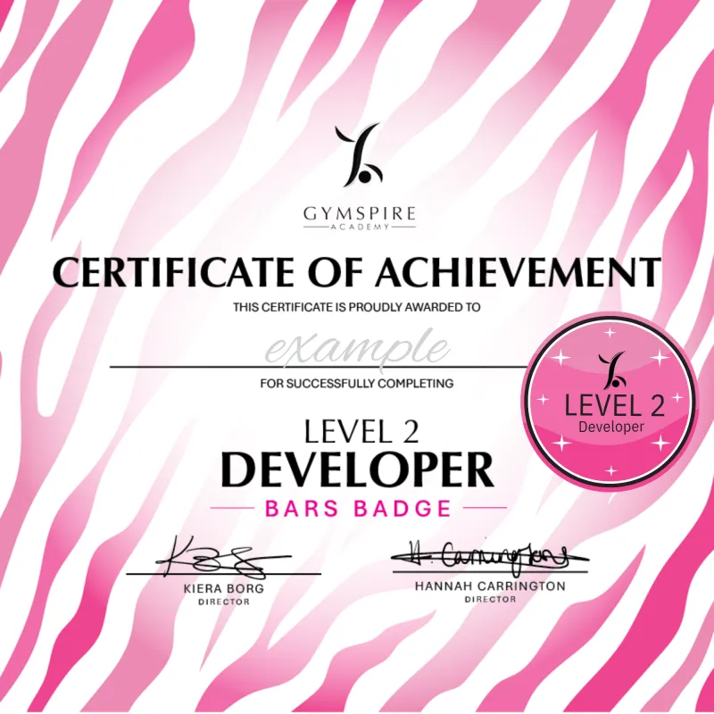 Level 2 - Developer - Bars