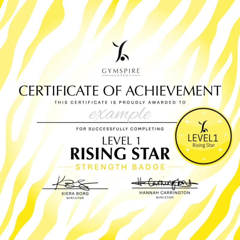 Level 1 - Rising Star - Strength