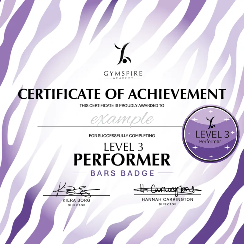 Level 3 - Performer - Bars