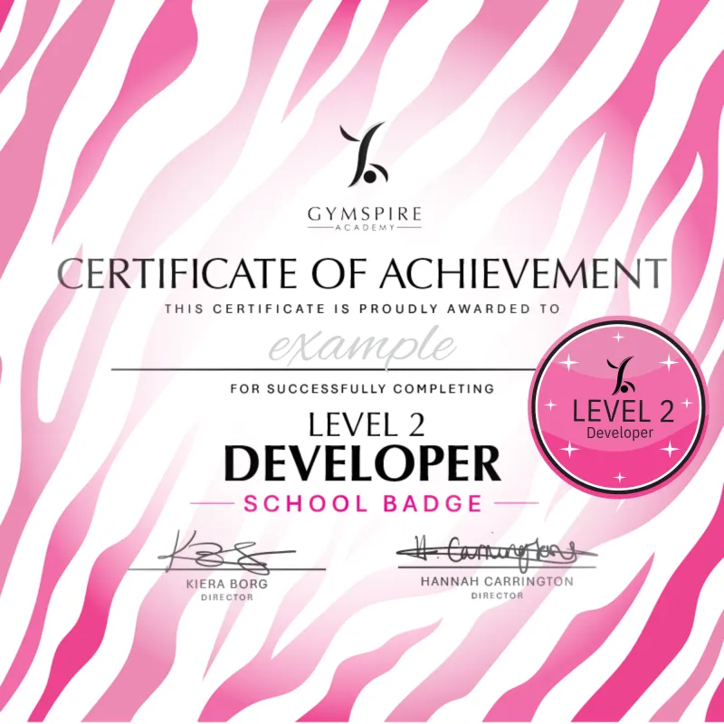 Level 2 - Developer - School