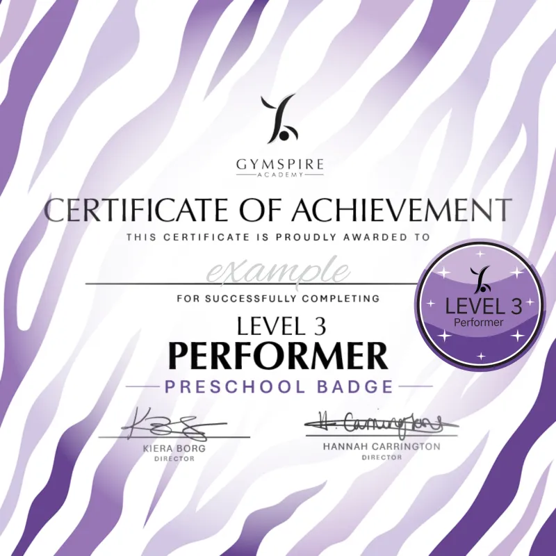 Level 3 - Performer - Preschool