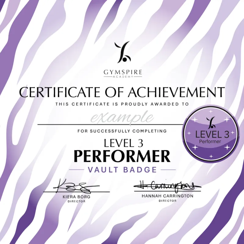 Level 3 - Performer - Vault