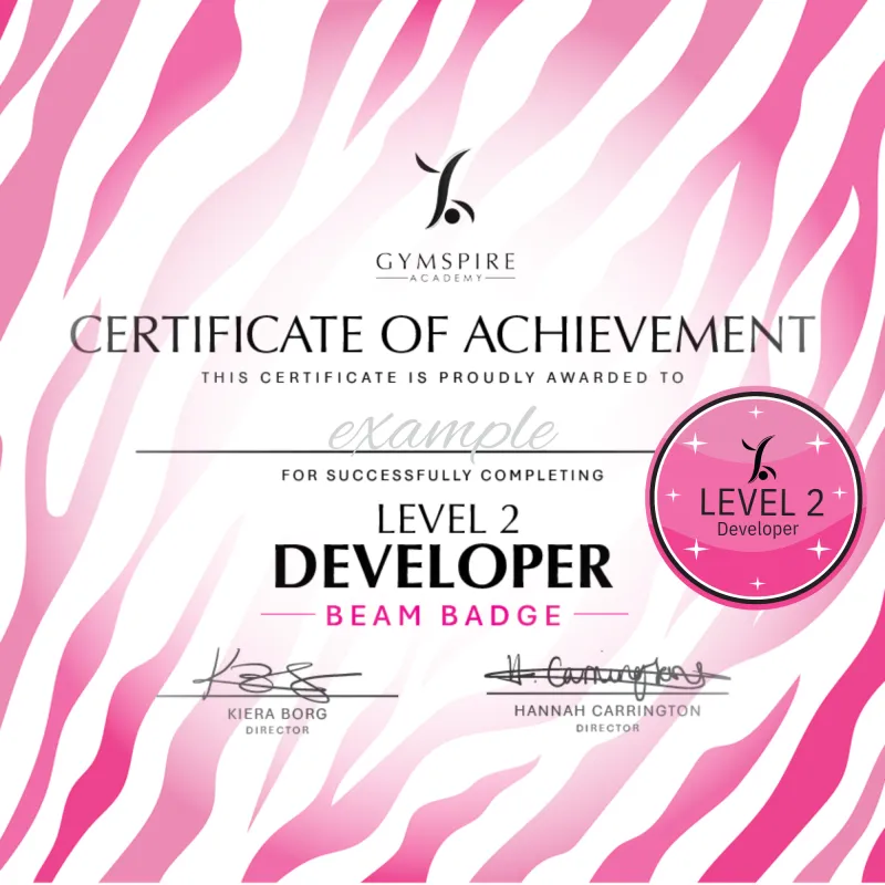 Level 2 - Developer - Beam