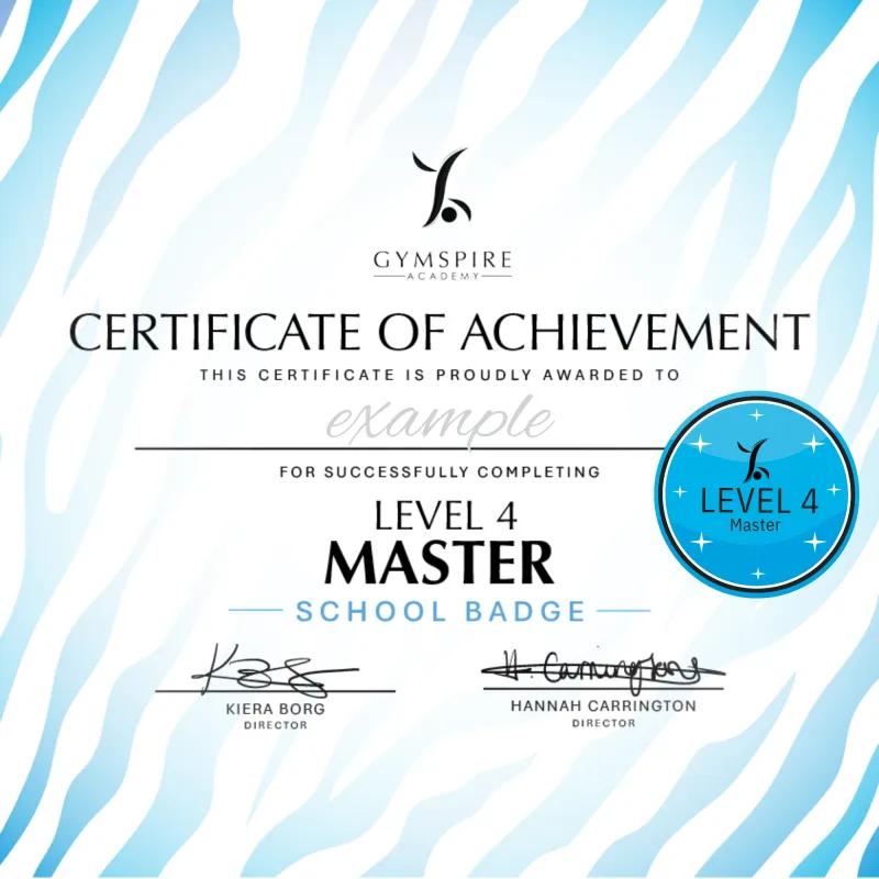 Level 4 - Master - School