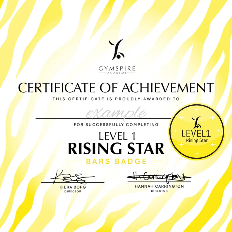 Level 1 - Rising Star - Bars