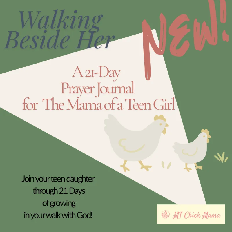 Walking Beside Her: A 21 Day Prayer Journal for the Mama of a Teen Girl