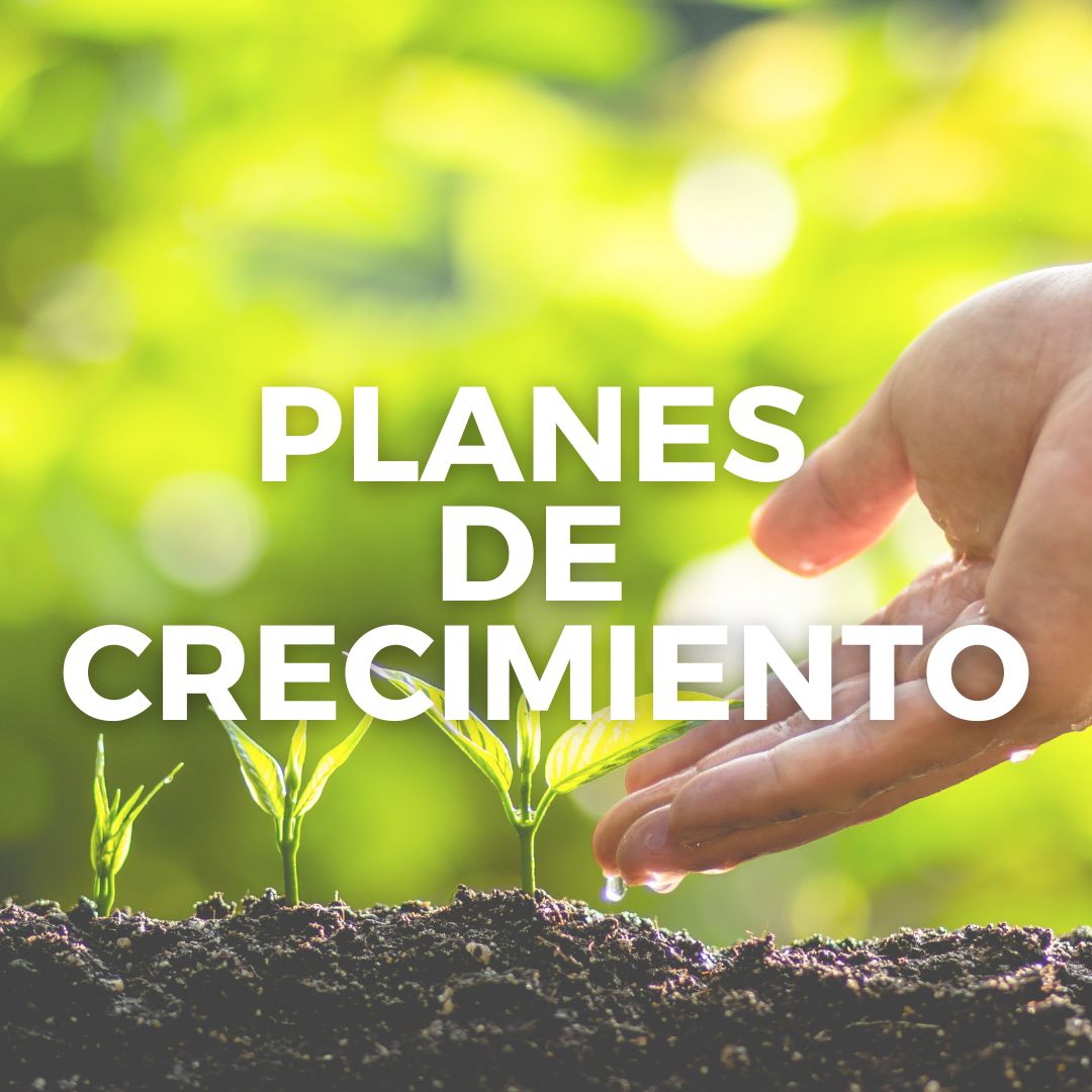Crecimiento