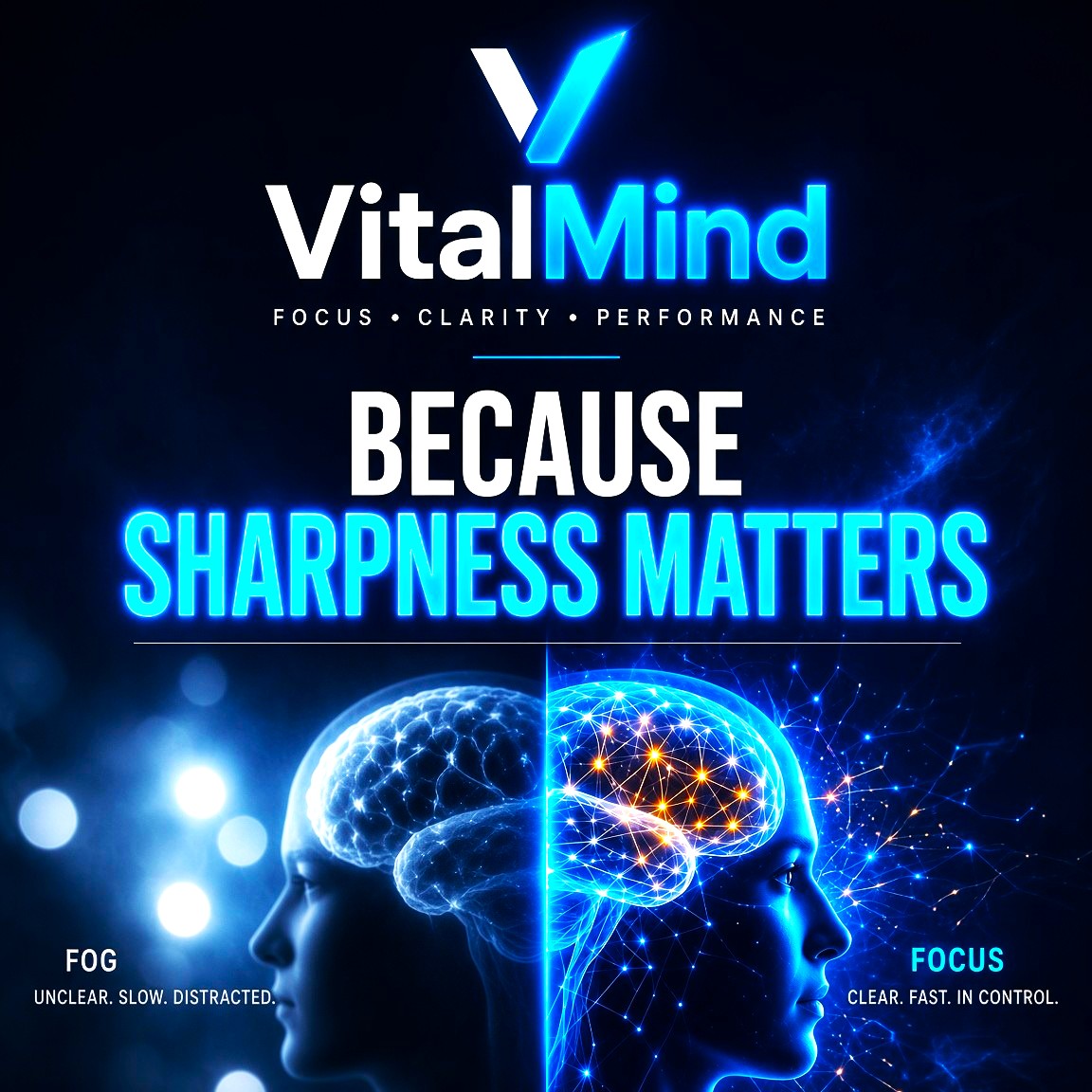 VitalMind Because Sharpness Matters - employee perk $297 setup per member + $15/month/member