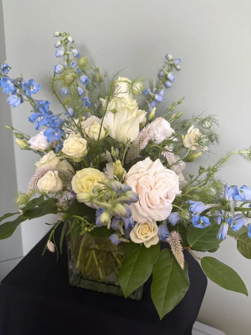 Bashful Blooms
