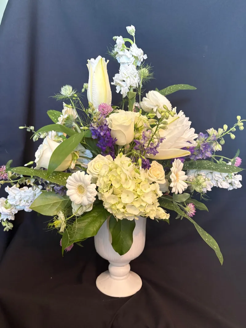 Sympathy & Funeral