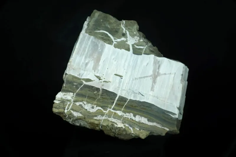 Large Cabinet Specimens