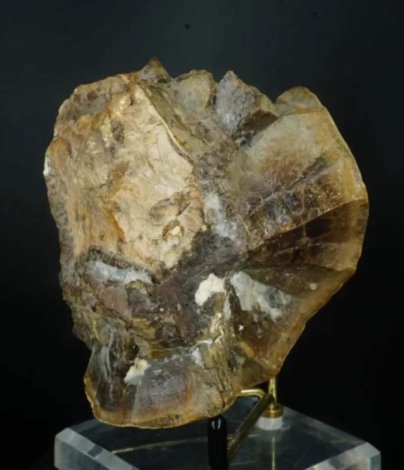 Dinosaur Bone in Septarian Nodule - Mount Carmel Junction, Utah