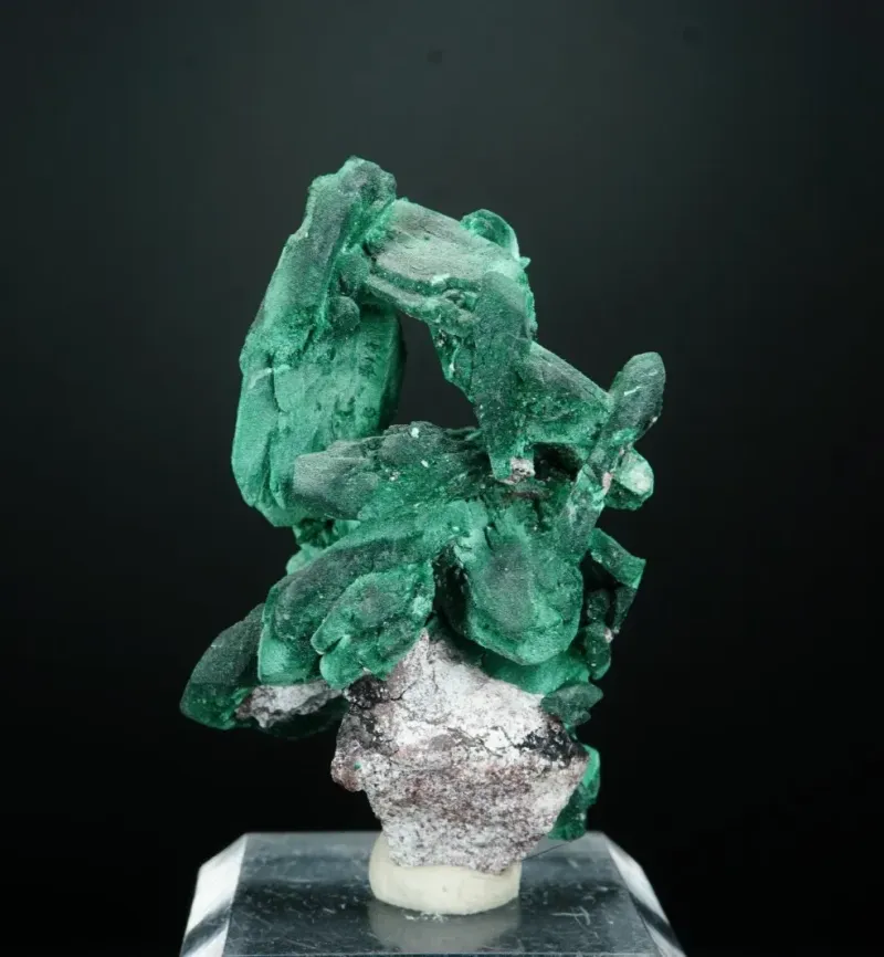 Malachite ps. Azurite - Milpillas Mine, Mexico