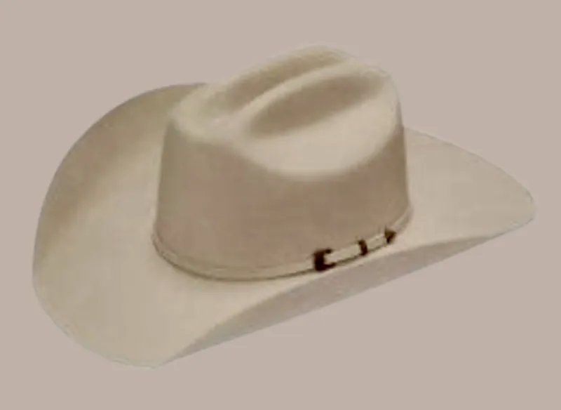 Dallas Twister 4" Brim | Silverbelly