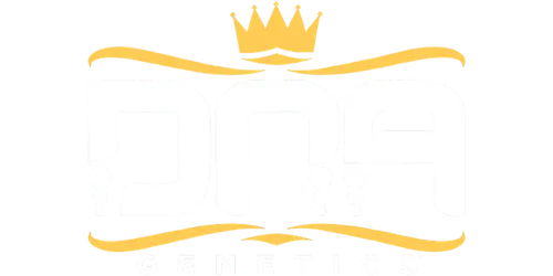 DNA Genetics