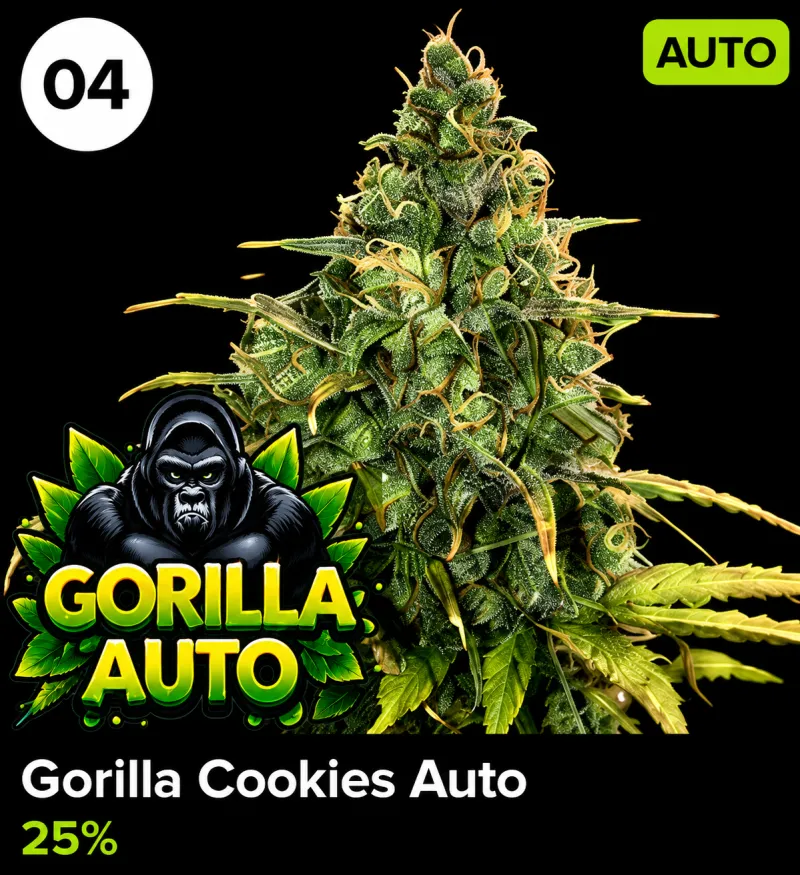 Gorilla Cookies Auto