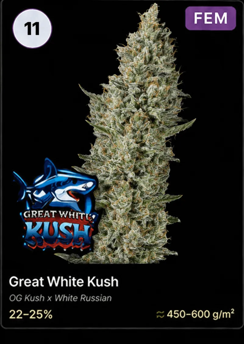 Great White Kush