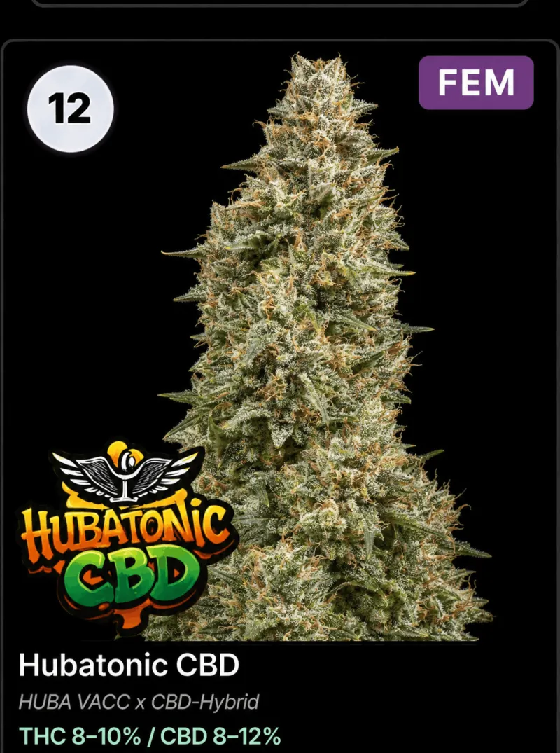 Hubatonic CBD