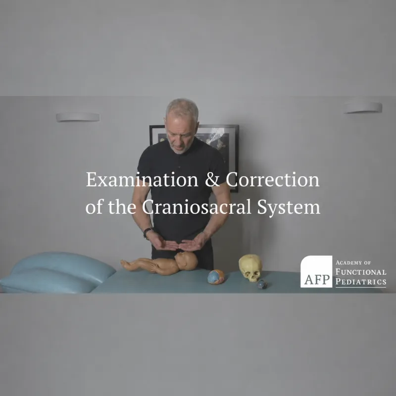 The Cranial System
