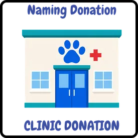 Clinic Naming Rights*