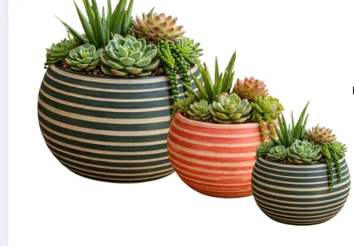 Suc Nested Striped Bubble S/3 
