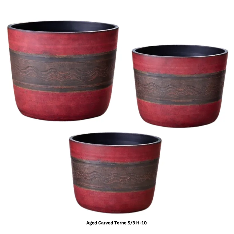 Aged Carved  Torno S/3 AM-AM 