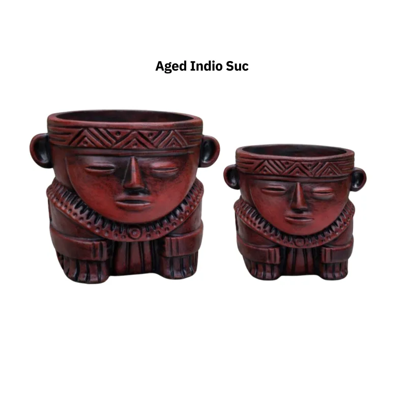 Aged Indio Succulent
