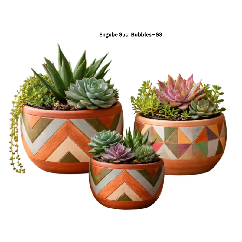 Engobe Succulent Bubbles S/3