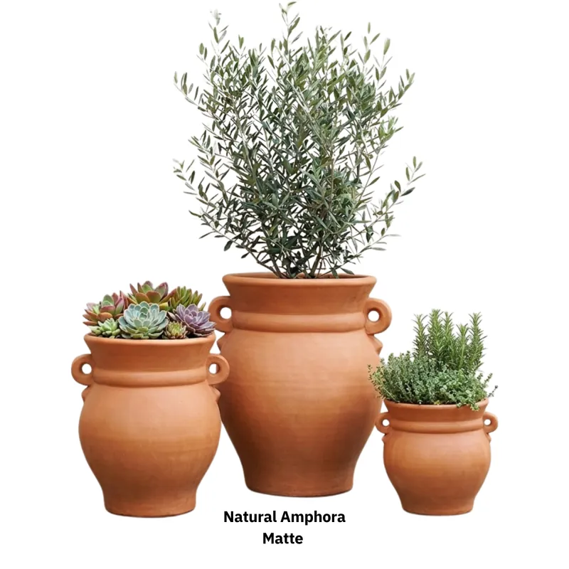 Amphora Natural Simple 